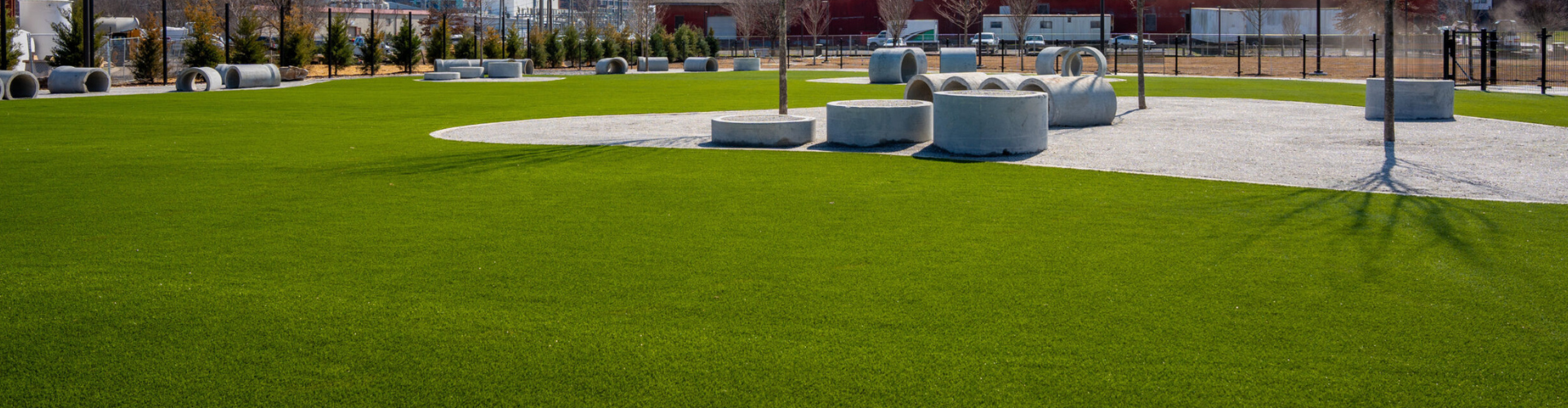 How K9Grass Turned a Park into Europe’s Busiest Dog Paradise