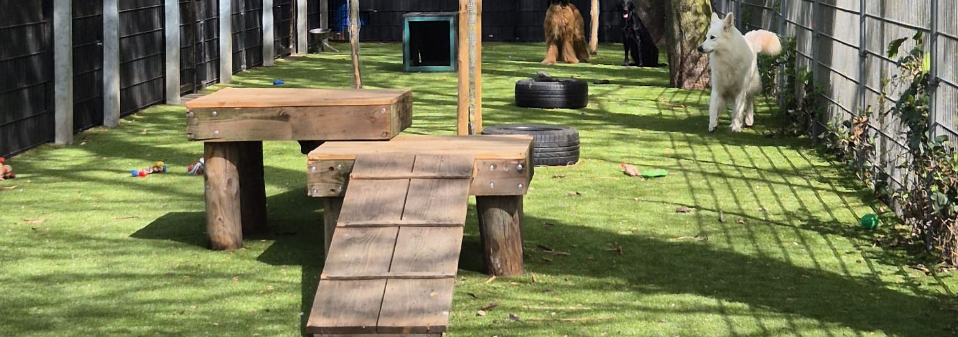 Dutch Boarding Facility Switched to K9 Grass