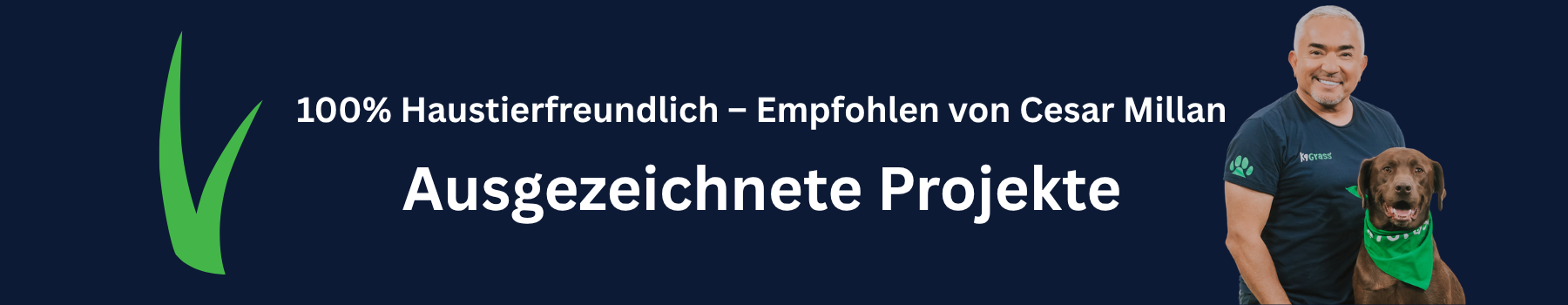 Ausgezeichnete Projekte