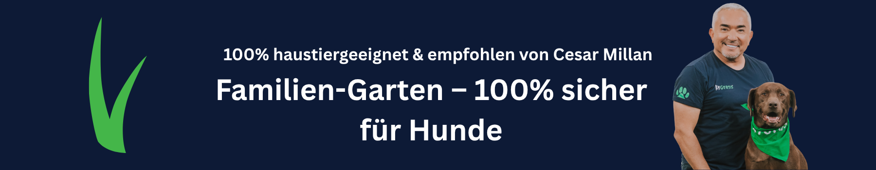 Bester Kunstrasen für Hundegarten
