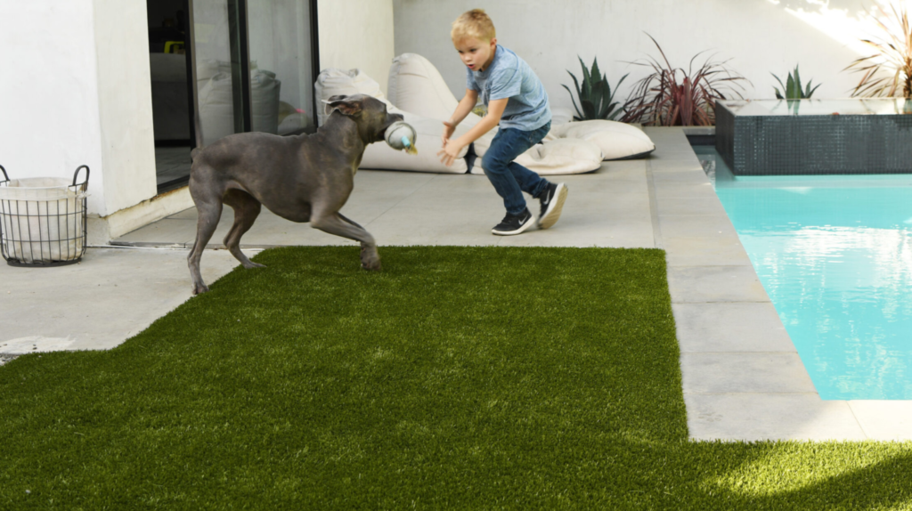 Bester Kunstrasen für Hundegarten