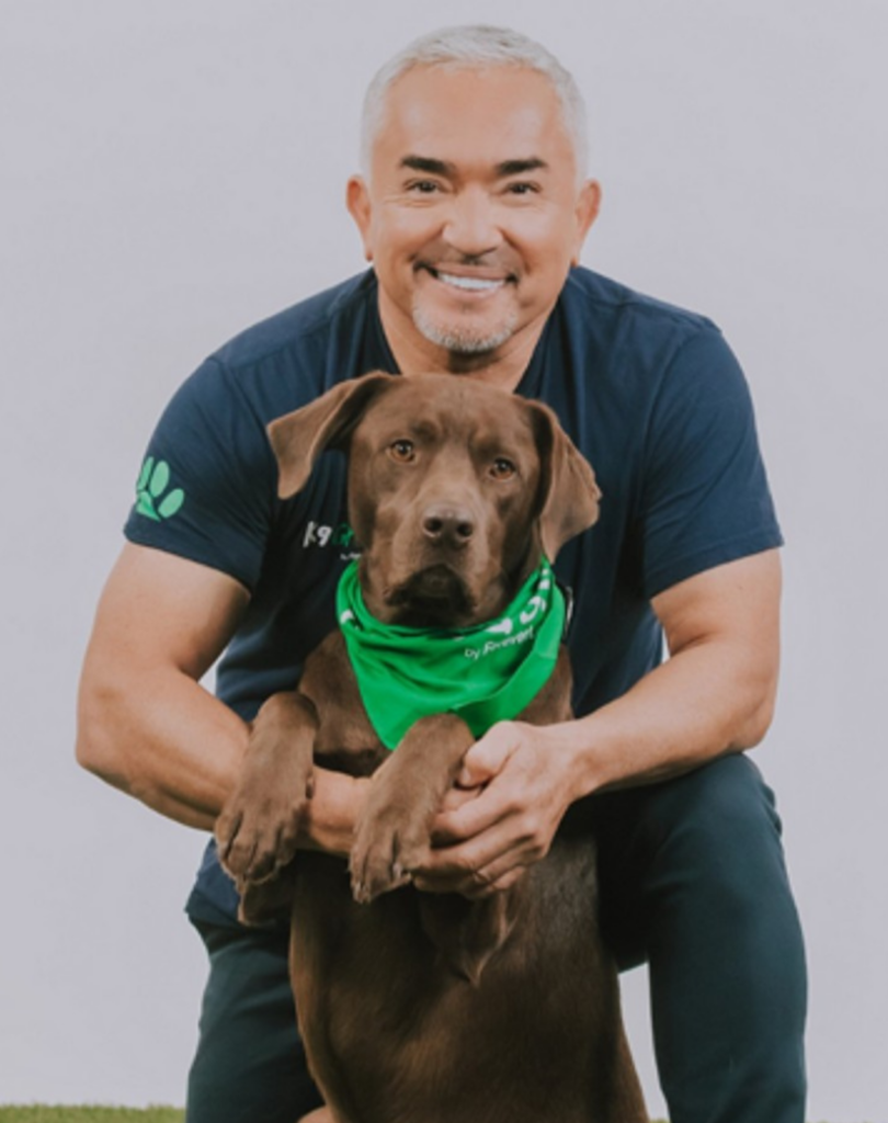 Cesar Millan Der Hundeflüsterer