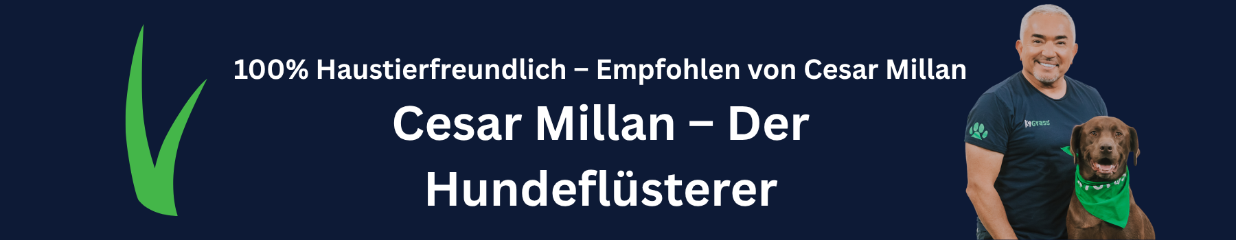 Cesar Millan Der Hundeflüsterer
