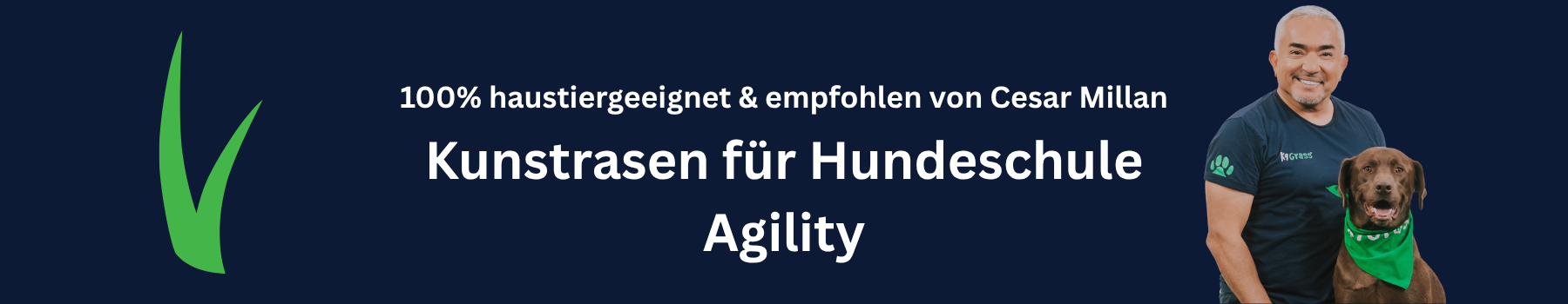 Kunstrasen Agilityplatz