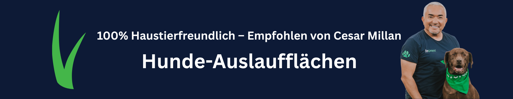Kunstrasen Hundeauslauf