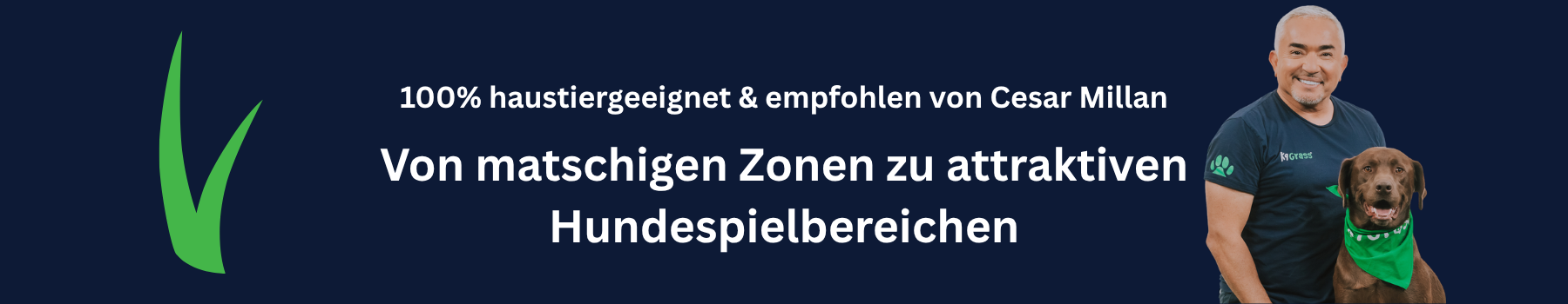 Kunstrasen Hundepark professionell