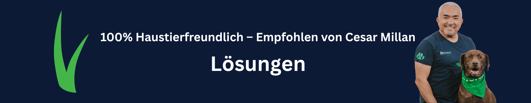 Kunstrasen Lösungen