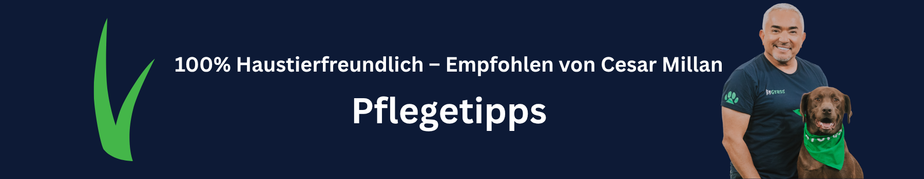 Kunstrasen Pflege
