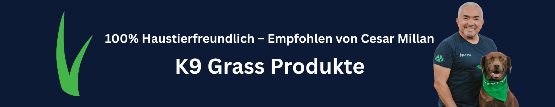 Kunstrasen Produkte