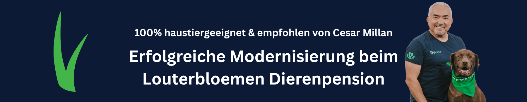 Kunstrasen Urinbeständig