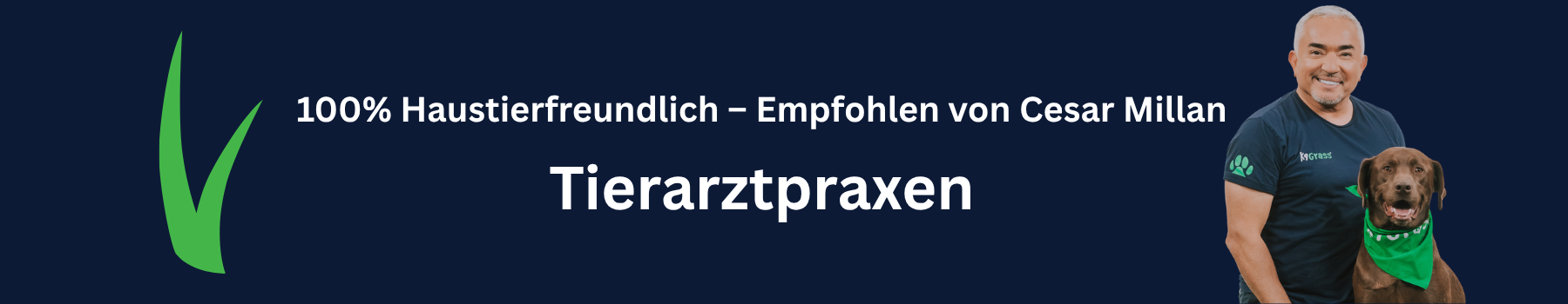 Kunstrasen für Tierarztpraxen