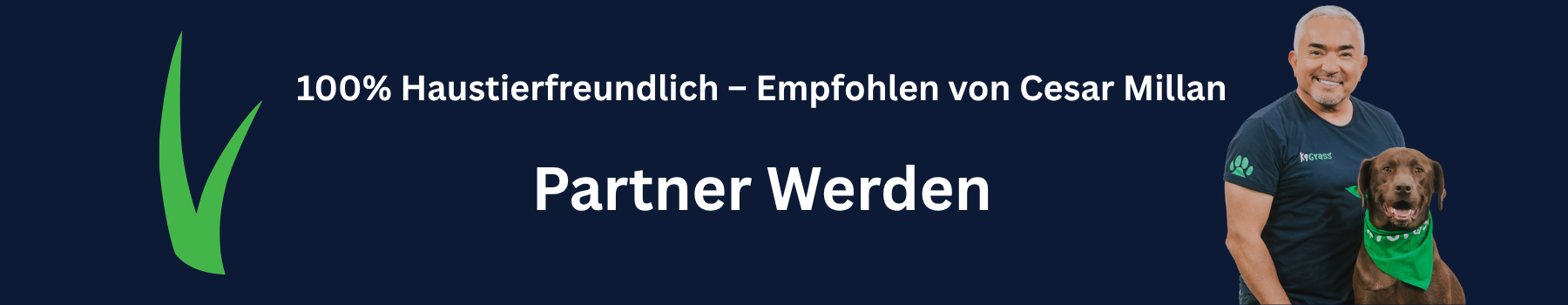 Partner werden